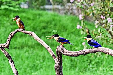 外媒发现PS3游戏开始出现在PS5商城