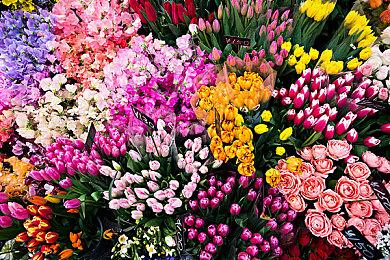 Remedy和腾讯合作的游戏重启 不再是免费